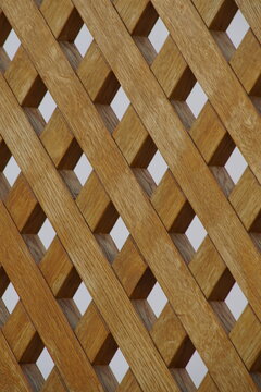 Quadrate IV