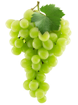 bunch of green grapes with leaf isolated on a white background