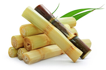 Single object of sugar cane isolated on white background