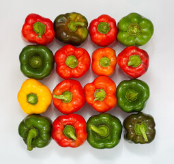 four rows of multi-colored peppers on a white background