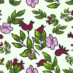 Fototapeta na wymiar Seamless pattern rosehip bush. Sketch scratch board imitation. Color. Engraving vector