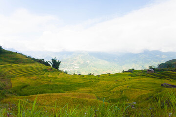 Fototapeta na wymiar Rice terraces of Sapa, Vietnam