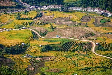 Rice terraces of Sapa, Vietnam