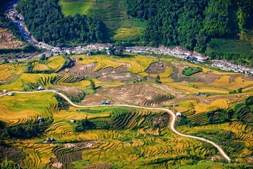 Rice terraces of Sapa, Vietnam
