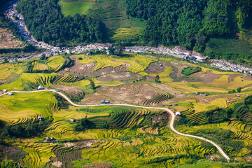 Rice terraces of Sapa, Vietnam