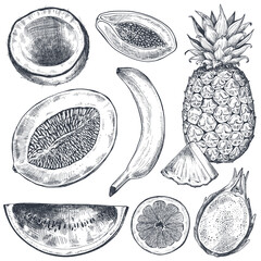 Set of hand drawn fresh fruits in sketch style. Black and white vector collection.
