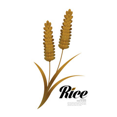 Obraz premium Premium Rice great quality design concept vector.