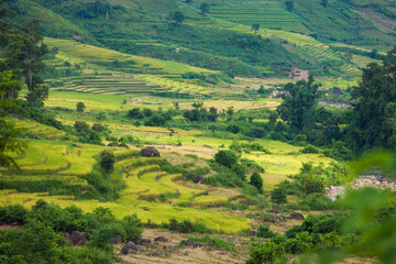 Rice fields on terraced of Mu Cang Chai, YenBai, Vietnam. Rice fields prepare the harvest at...