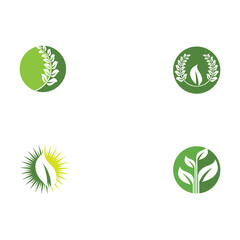 Set Green garden green leaf Logo Template