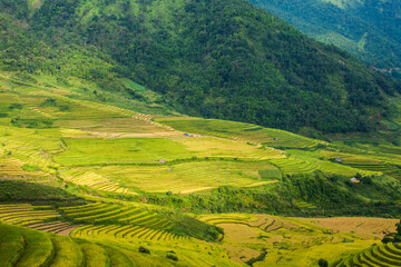 Fototapeta na wymiar Rice fields on terraced of Mu Cang Chai, YenBai, Vietnam. Rice fields prepare the harvest at Northwest Vietnam.Vietnam landscapes