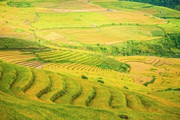 Rice fields on terraced of Mu Cang Chai, YenBai, Vietnam. Rice fields prepare the harvest at...