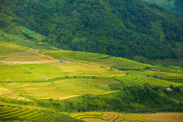 Fototapeta na wymiar Rice fields on terraced of Mu Cang Chai, YenBai, Vietnam. Rice fields prepare the harvest at Northwest Vietnam.Vietnam landscapes