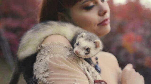 A small fluffy animal, a domestic ferret sits on the shoulder of its owner. The pet gently touches the woman's face, kisses and licks. Happy girl laughing on the background of nature and green trees