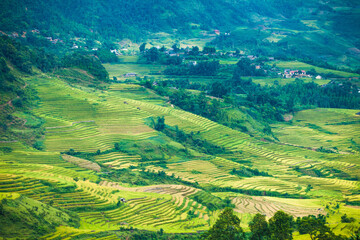 Rice fields on terraced of Mu Cang Chai, YenBai, Vietnam. Rice fields prepare the harvest at Northwest Vietnam.Vietnam landscapes