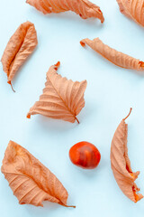 lots of dry autumn leaves and horse chestnut fruit on a blue background. top view vertical photo