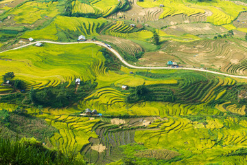 Amazing Rice fields on terraced in rainny seasont at TU LE Valley, Vietnam.Tu Le is a small valley but has beautiful terraces all year round. An attractive tourist destination 250km form Hanoi.