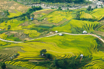 Amazing Rice fields on terraced in rainny seasont at TU LE Valley, Vietnam.Tu Le is a small valley...