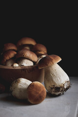 porcini mushrooms in wooden bowl