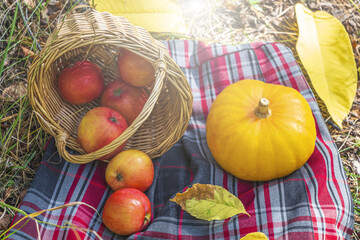 Autumn still life with checkered plaid, wicker basket, apples, pumpkin. Romantic autumn picnic lunch outdoors. Thanksgiving day holiday and fall harvest concept