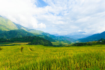 Laocai Vietnam  Vietnam Paddy fields, terraced culture, Sapa, Vietnam