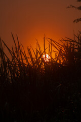 Sunrise on the River Great Ouse in Cambridgeshire