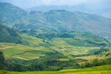 Obraz premium Laocai Vietnam Vietnam Paddy fields, terraced culture, Sapa, Vietnam