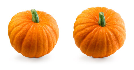 Fresh pumpkins isolated. Two organic orange pumpkins on white background. Set cut out with clipping path