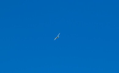 Small Aeroplane with flaps in air down coming in to land