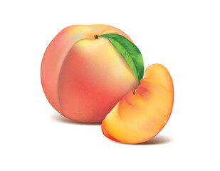 Realistic Detailed 3d Fresh Peach Set. Vector