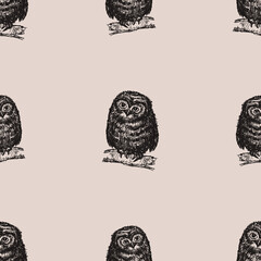 Seamless pattern of drawn owlets sitting on tree branches