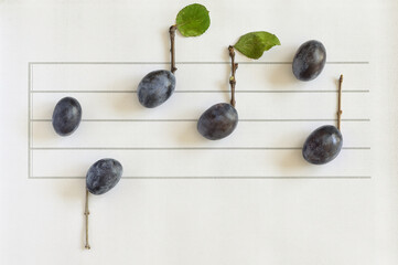 Music Notes From Ripe Plums