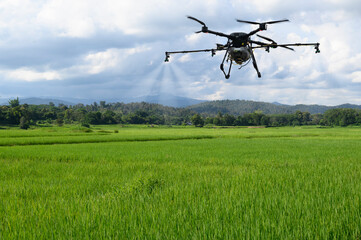 Agriculture drone farming fly to spray fertilizer on the rice fields. Industrial agriculture and smart farming drone technology
