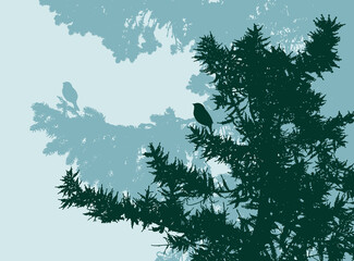 Vector illustration of silhouettes spruce branches in pine forest