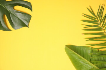Fototapeta na wymiar Summer background with palm leaves on yellow.