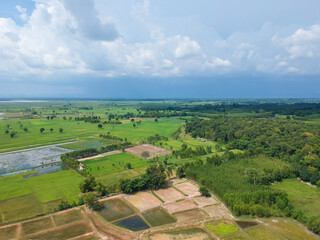 Aerial View: Flying from the countryside rice field in Thailand.