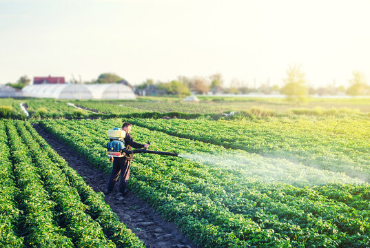 A farmer with a mist sprayer blower processes the potato plantation from pests and fungus infection. Protection and care. Fumigator fogger. Use of agriculture industrial chemicals to protect crops.