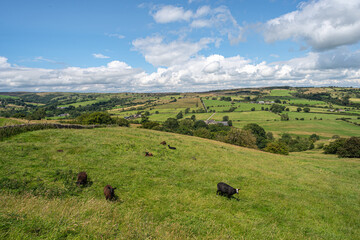 Blue sky and clouds over fields