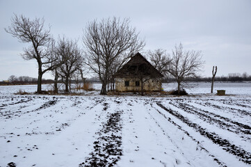 Fototapeta premium old abandoned house in bright snowy winter day, Backi Petrovac, Vojvodina