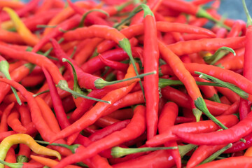 close up of red pepper in the garden from Thailand very spicy isolated background.