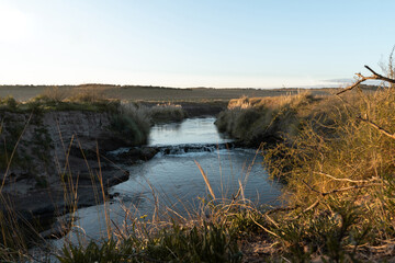 Stream with a small waterfall in the middle of an agricultural field at sunset.