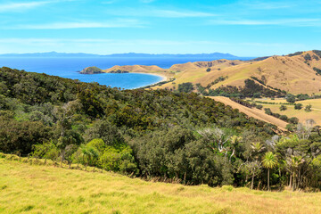 Fototapeta na wymiar Fletcher Bay on the remote northern tip of the Coromandel Peninsula, New Zealand, seen from the hills. On the horizon is Great Barrier Island