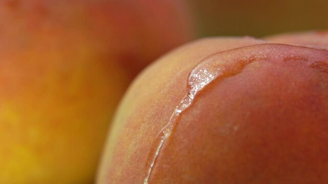 Close-up of a clear waterdrop flowing down the surface of a ripe red juicy peach