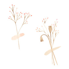 Watercolor compositions of wild flowers of dried flowers. Great for printing, textile, web design, souvenirs and other ideas.