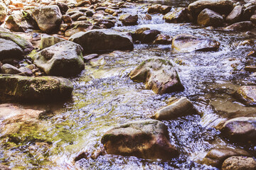 Mountain River Stream Through Summer Forest. Clear Water. Day In Nature. Beautiful Landscape