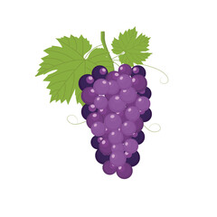 Obraz premium Fresh bunch of grapes purple icon on white background. vector illustration in flat style
