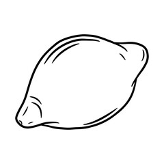 Lemon. Hand drawn vector illustration in doodle style, isolated on a white background.
