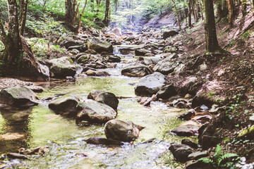 Mountain River Stream Through Summer Forest. Clear Water. Day In Nature. Beautiful Landscape