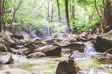 Mountain River Stream Through Summer Forest. Clear Water. Day In Nature. Beautiful Landscape