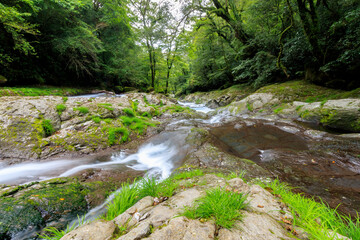 Fototapeta premium 夏の菊池渓谷 熊本県菊池市 Kikuchi Canyon in Summer Kumamoto-ken Kikuchi city