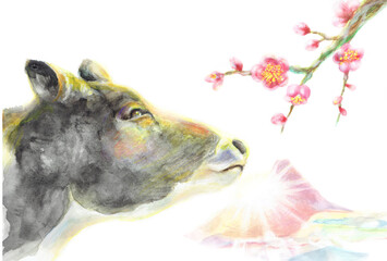 年賀状　牛の横顔　梅　富士山